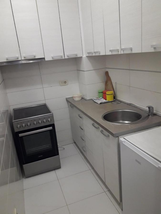 Fantastic Brand New Apartment 2 Podgoriţa Exterior foto